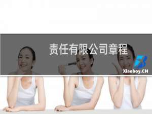责任有限公司章程