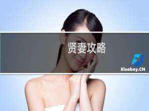 贤妻攻略