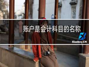 账户是会计科目的名称