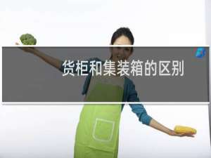 货柜和集装箱的区别