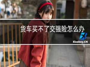 货车买不了交强险怎么办