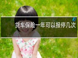 货车保险一年可以报停几次