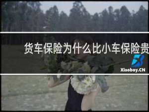 货车保险为什么比小车保险贵