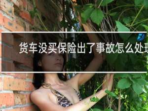 货车没买保险出了事故怎么处理