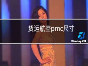 货运航空pmc尺寸