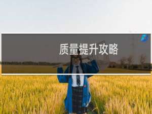 质量提升攻略