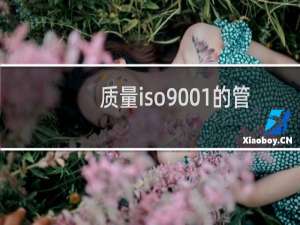 质量iso9001的管理体系