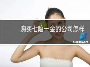 购买七险一金的公司怎样