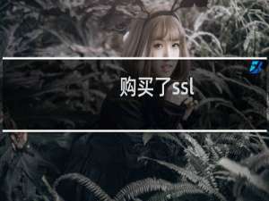 购买了ssl，域名所有权一直验证不了