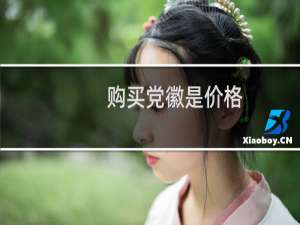 购买党徽是价格