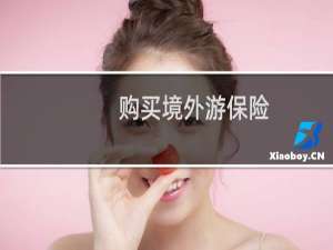 购买境外游保险