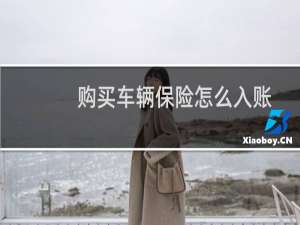 购买车辆保险怎么入账