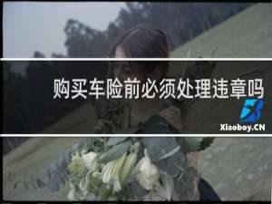 购买车险前必须处理违章吗