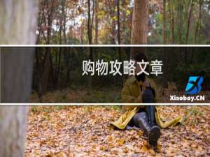 购物攻略文章