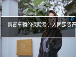 购置车辆的保险费计入固定资产吗