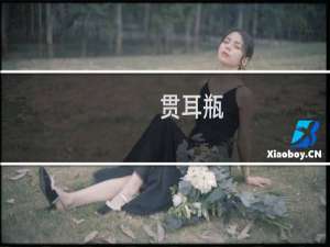 贯耳瓶