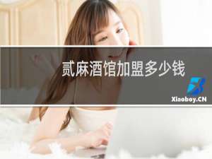 贰麻酒馆加盟多少钱