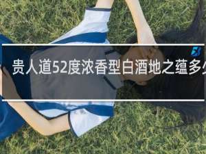 贵人道52度浓香型白酒地之蕴多少钱