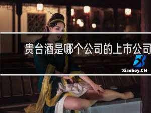 贵台酒是哪个公司的上市公司