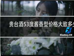 贵台酒53度酱香型价格大致多少