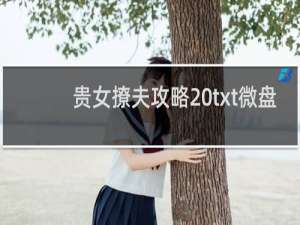 贵女撩夫攻略 txt微盘