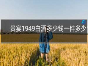 贵宴1949白酒多少钱一件多少钱
