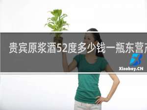 贵宾原浆酒52度多少钱一瓶东营产的