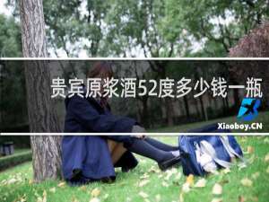 贵宾原浆酒52度多少钱一瓶