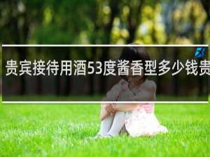 贵宾接待用酒53度酱香型多少钱贵宾酒