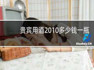 贵宾用酒2010多少钱一瓶