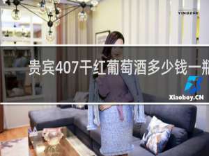 贵宾407干红葡萄酒多少钱一瓶