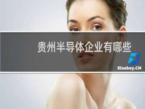 贵州半导体企业有哪些