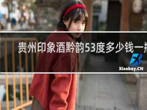 贵州印象酒黔韵53度多少钱一瓶