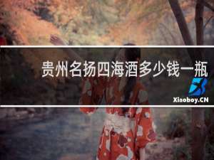 贵州名扬四海酒多少钱一瓶