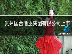 贵州国台酒业集团有限公司上市了吗