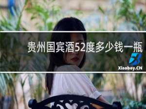 贵州国宾酒52度多少钱一瓶