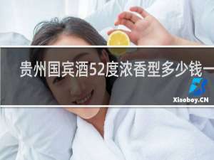 贵州国宾酒52度浓香型多少钱一箱