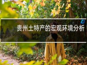 贵州土特产的宏观环境分析