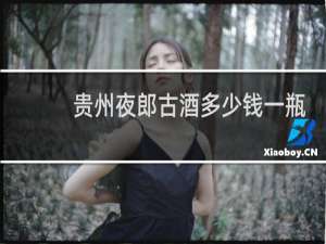 贵州夜郎古酒多少钱一瓶