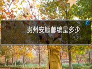 贵州安顺邮编是多少