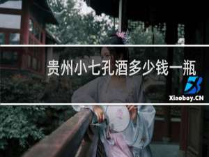 贵州小七孔酒多少钱一瓶