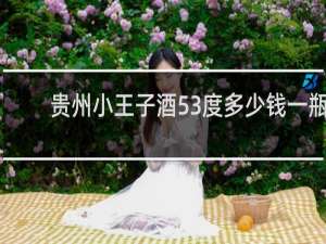 贵州小王子酒53度多少钱一瓶