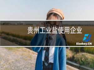 贵州工业盐使用企业