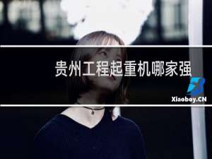 贵州工程起重机哪家强