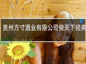 贵州方寸酒业有限公司俊天下经典价格