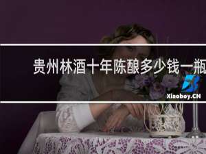 贵州林酒十年陈酿多少钱一瓶