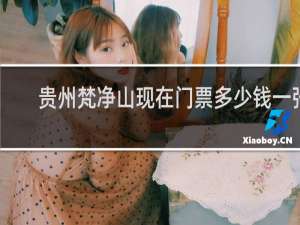 贵州梵净山现在门票多少钱一张