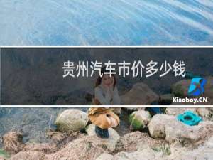 贵州汽车市价多少钱