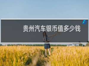 贵州汽车银币值多少钱