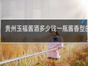 贵州玉福酱酒多少钱一瓶酱香型的53